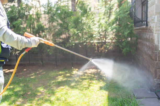 Seasonal Pest Control in Rodeo, CA